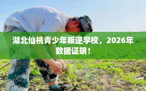 湖北仙桃青少年叛逆学校，2026年数据证明！