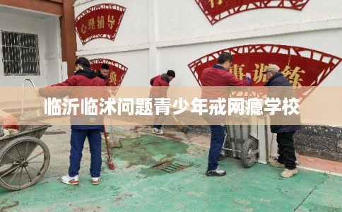 临沂临沭问题青少年戒网瘾学校