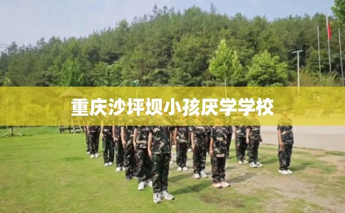 重庆沙坪坝小孩厌学学校