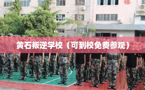 黄石叛逆学校（可到校免费参观）