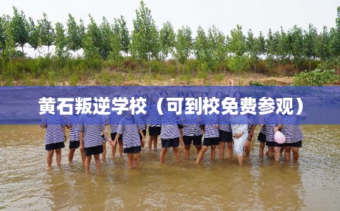 黄石叛逆学校（可到校免费参观）