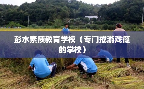 彭水素质教育学校（专门戒游戏瘾的学校）