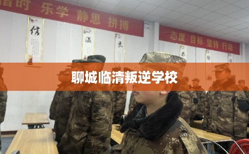 聊城临清叛逆学校