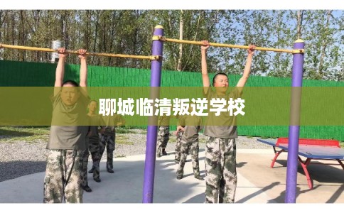 聊城临清叛逆学校