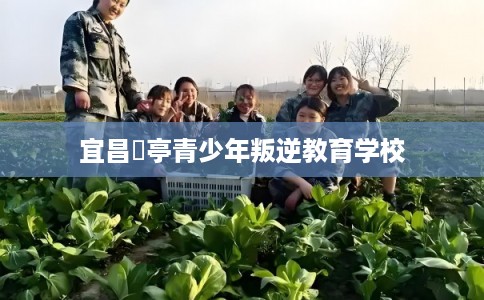 宜昌猇亭青少年叛逆教育学校