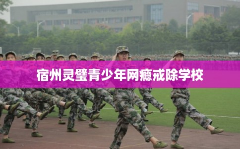 宿州灵璧青少年网瘾戒除学校