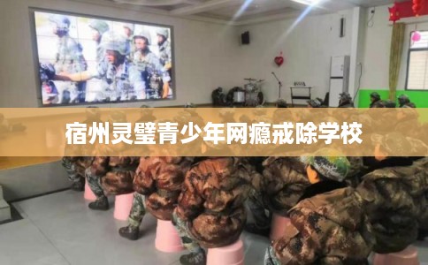 宿州灵璧青少年网瘾戒除学校