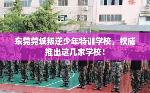 东莞莞城叛逆少年特训学校,权威推出这几家学校! 东莞莞城叛逆少年特训学校,权威推出这几家学校!