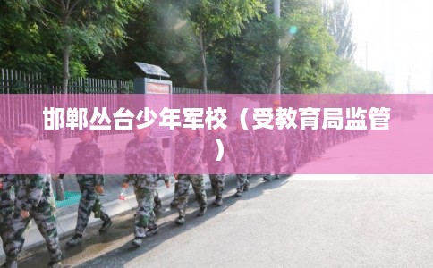 邯郸丛台少年军校（受教育局监管）
