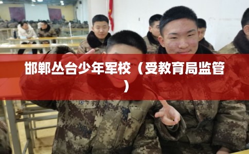邯郸丛台少年军校（受教育局监管）