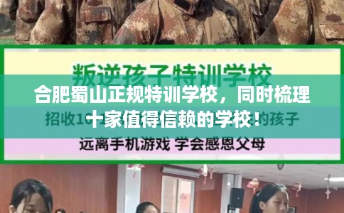 合肥蜀山正规特训学校,同时梳理十家值得信赖的学校! 合肥蜀山正规特训学校,同时梳理十家值得信赖的学校!