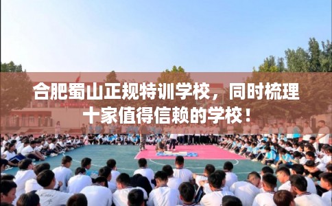 合肥蜀山正规特训学校,同时梳理十家值得信赖的学校! 合肥蜀山正规特训学校,同时梳理十家值得信赖的学校!