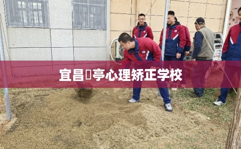 宜昌猇亭心理矫正学校 宜昌猇亭心理矫正学校