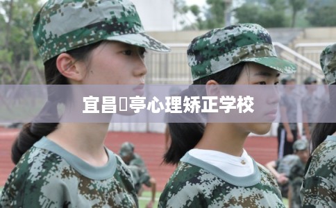 宜昌猇亭心理矫正学校 宜昌猇亭心理矫正学校