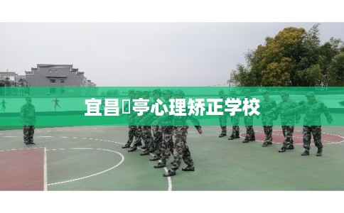 宜昌猇亭心理矫正学校 宜昌猇亭心理矫正学校