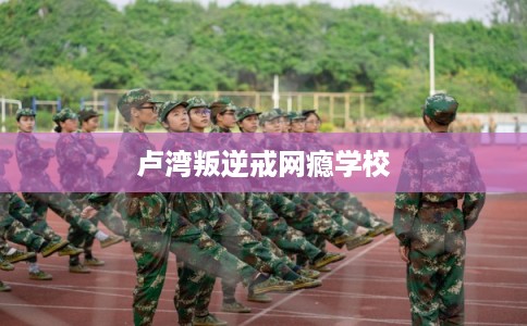 卢湾叛逆戒网瘾学校
