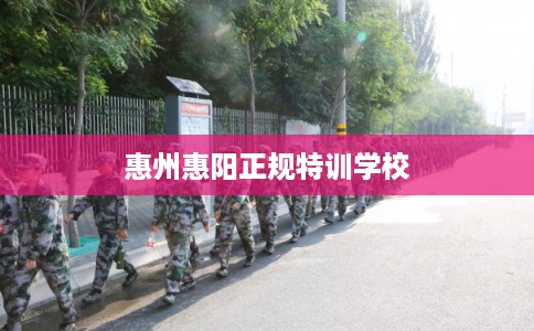 惠州惠阳正规特训学校