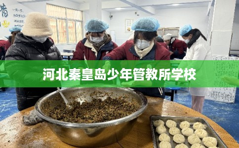河北秦皇岛少年管教所学校 河北秦皇岛少年管教所学校