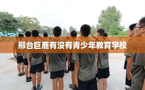 邢台巨鹿有没有青少年教育学校 邢台巨鹿有没有青少年教育学校