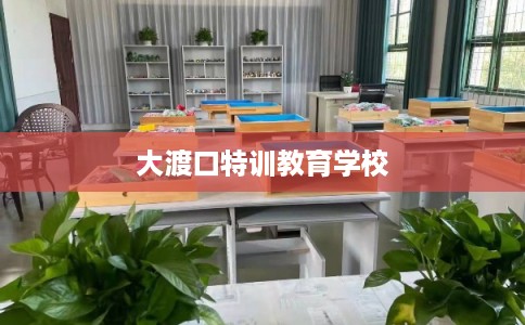 大渡口特训教育学校