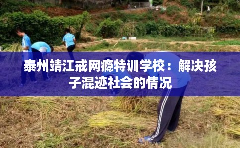 泰州靖江戒网瘾特训学校:解决孩子混迹社会的情况 泰州靖江戒网瘾特训学校:解决孩子混迹社会的情况