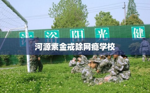 河源紫金戒除网瘾学校 河源紫金戒除网瘾学校