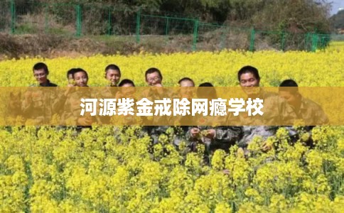 河源紫金戒除网瘾学校 河源紫金戒除网瘾学校