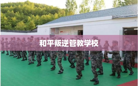 和平叛逆管教学校