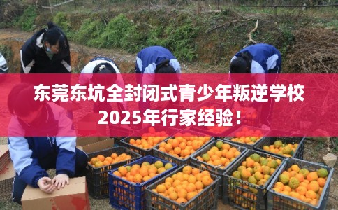 东莞东坑全封闭式青少年叛逆学校2025年行家经验！