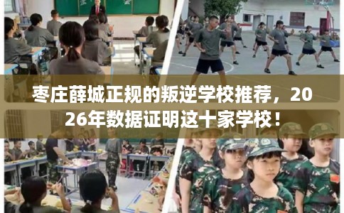 枣庄薛城正规的叛逆学校推荐,2026年数据证明这十家学校! 枣庄薛城正规的叛逆学校推荐,2026年数据证明这十家学校!