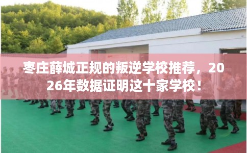 枣庄薛城正规的叛逆学校推荐,2026年数据证明这十家学校! 枣庄薛城正规的叛逆学校推荐,2026年数据证明这十家学校!
