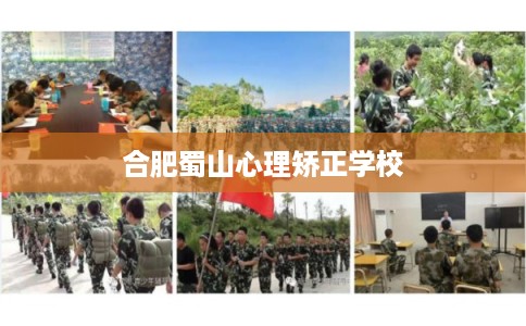 合肥蜀山心理矫正学校