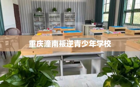 重庆潼南叛逆青少年学校