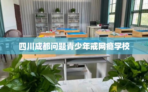 四川成都问题青少年戒网瘾学校