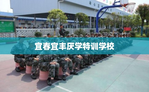 宜春宜丰厌学特训学校