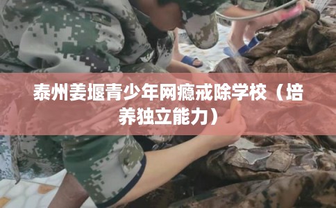 泰州姜堰青少年网瘾戒除学校（培养独立能力）