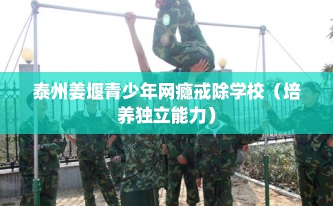 泰州姜堰青少年网瘾戒除学校（培养独立能力）