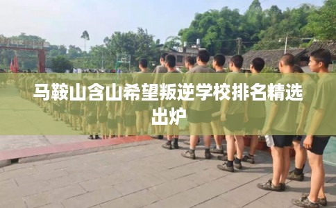 马鞍山含山希望叛逆学校排名精选出炉