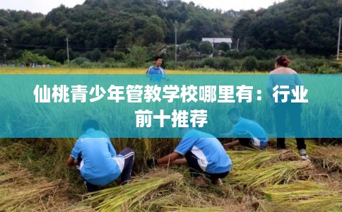 仙桃青少年管教学校哪里有:行业前十推荐 仙桃青少年管教学校哪里有:行业前十推荐