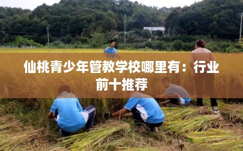 仙桃青少年管教学校哪里有：行业前十推荐