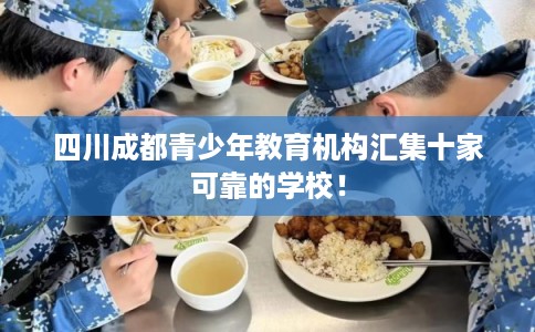 四川成都青少年教育机构汇集十家可靠的学校！