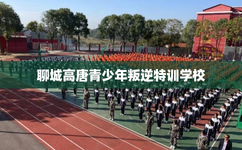 聊城高唐青少年叛逆特训学校
