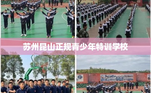 苏州昆山正规青少年特训学校 苏州昆山正规青少年特训学校