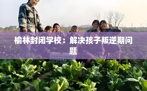 榆林封闭学校:解决孩子叛逆期问题 榆林封闭学校:解决孩子叛逆期问题