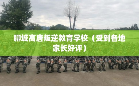 聊城高唐叛逆教育学校（受到各地家长好评）