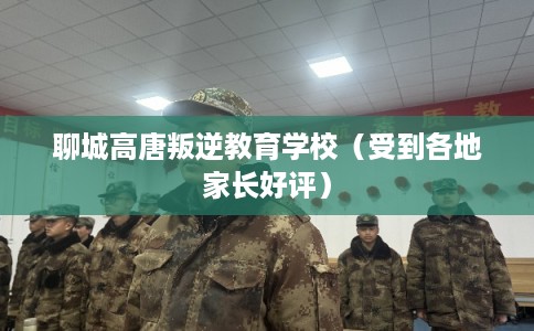 聊城高唐叛逆教育学校（受到各地家长好评）