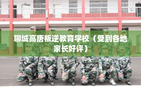 聊城高唐叛逆教育学校（受到各地家长好评）