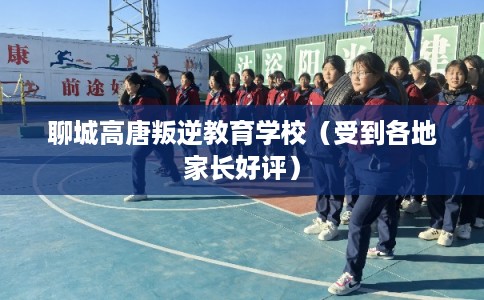 聊城高唐叛逆教育学校（受到各地家长好评）
