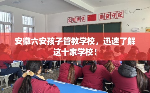 安徽六安孩子管教学校，迅速了解这十家学校！