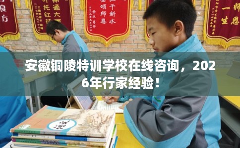 安徽铜陵特训学校在线咨询，2026年行家经验！